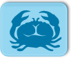 signe astrologique : Cancer