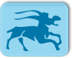 signe astrologique : Capricorne