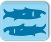 signe astrologique : Poisson
