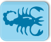 signe astrologique : Scorpion