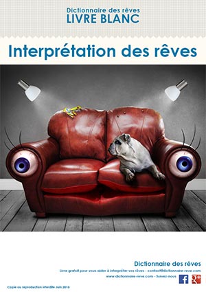 livre gratuit interprtation des rves